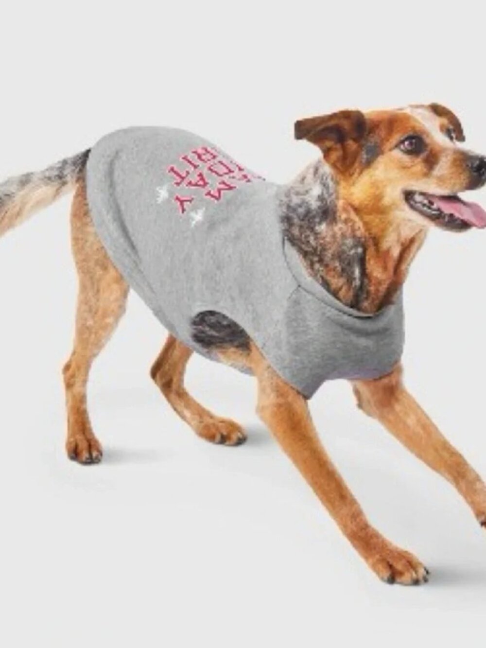 NWOT Team Holiday Spirit Matching Family Dog Sweatshirt - Wondershop™ Gray M